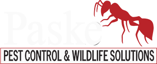 Paske Pest Control logo